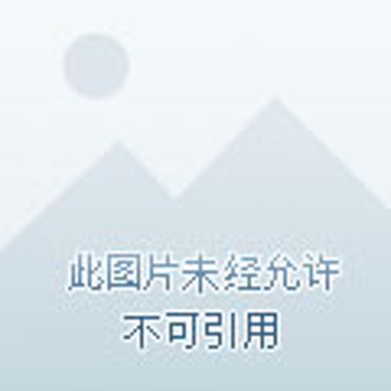 日用百货批发行业的最新动态